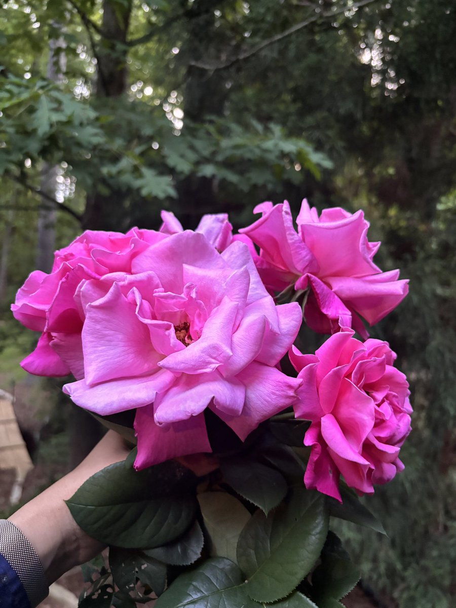 maimeenge's tweet image. Today, on Daw Aung San Suu Kyi&apos;s 79th birthday, we stand in solidarity for her freedom and that of all political prisoners in Myanmar. We honor her legacy and advocate for her freedom and the restoration of democracy in Myanmar.#SupportDemocracy#FreeAungSanSuuKyi StandWithMyanmar