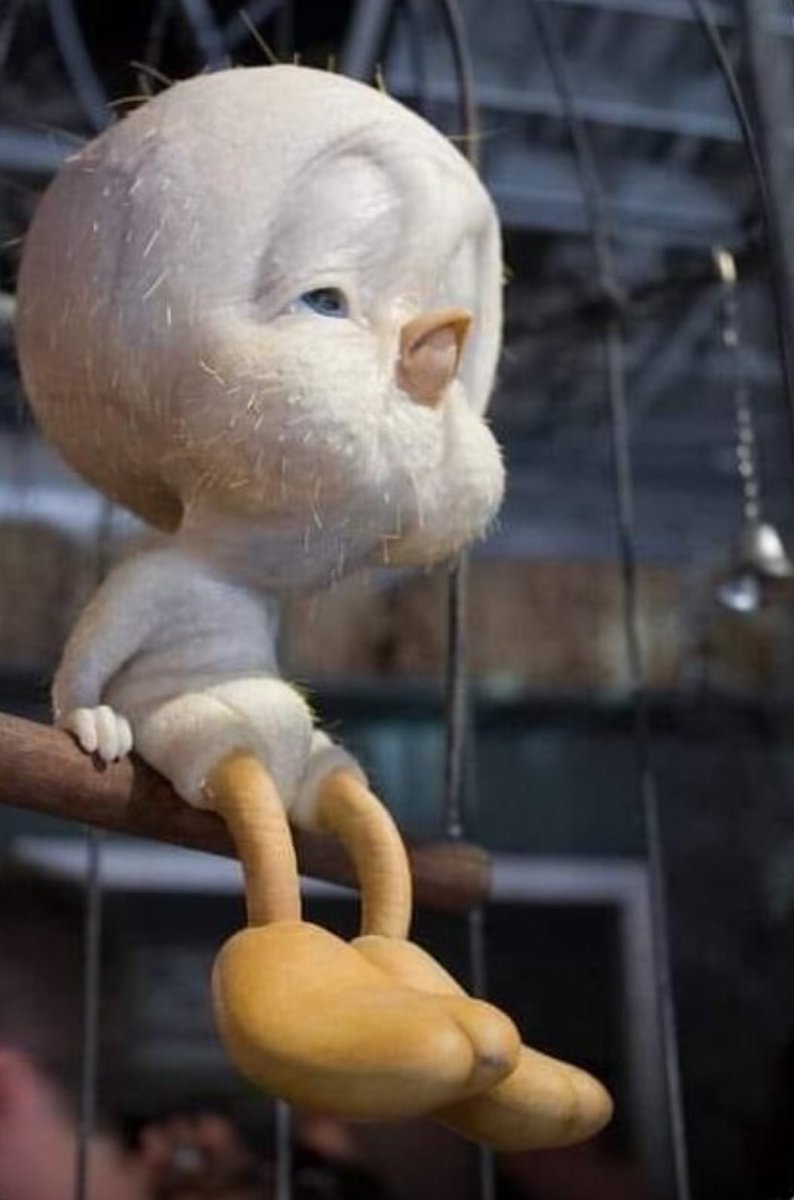 MemesForGuys's tweet image. When you shave your meat and balls but she cancels on you