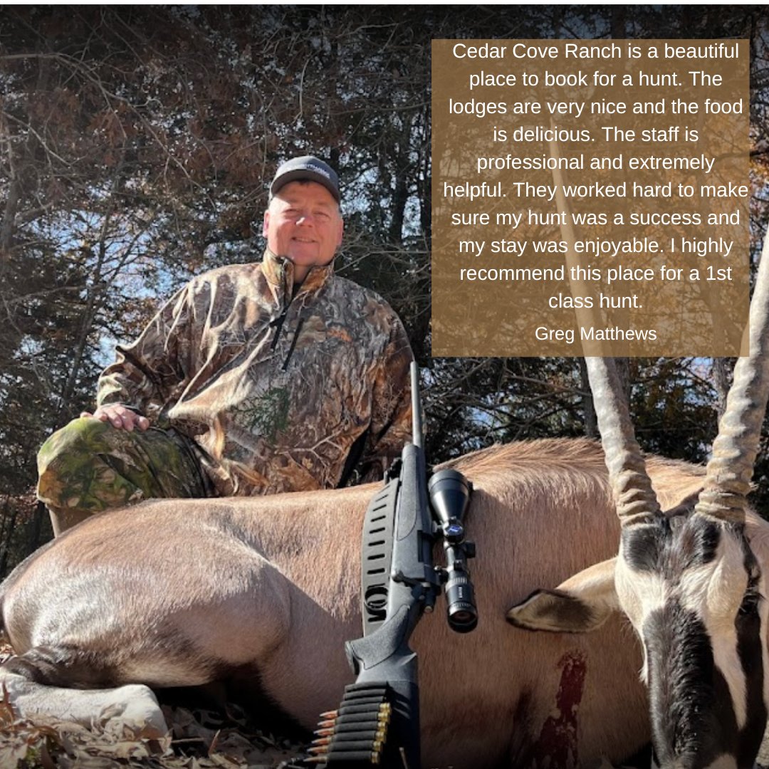 Cedar Cove Ranch tweet media