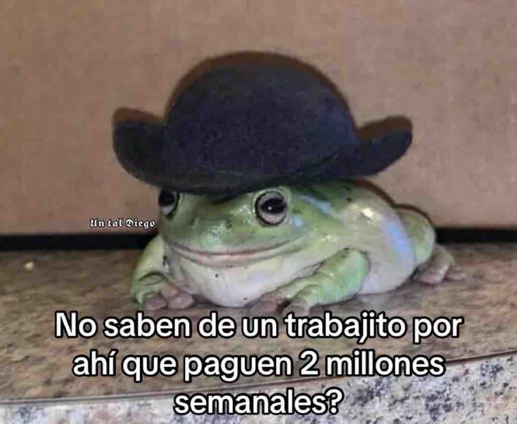 No saben?