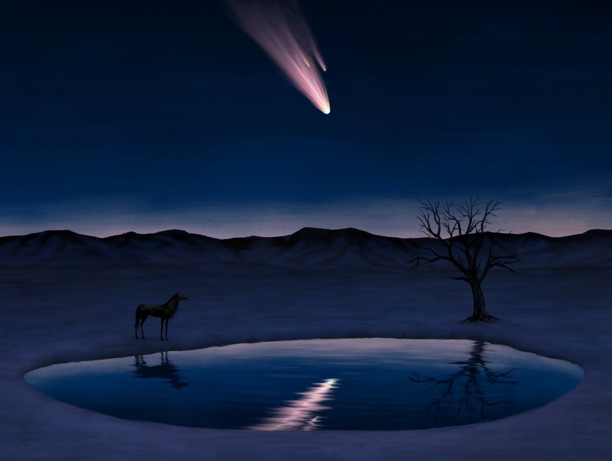 你我犹如隔镜视物，所见无非虚幻。