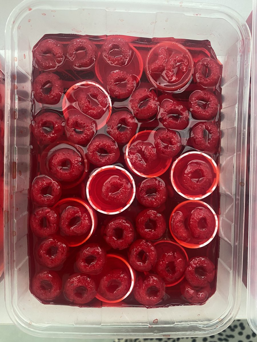 We made models of blood to show the four main components: red blood cells, white blood cells, plasma and platelets 🩸 #science #model #biology