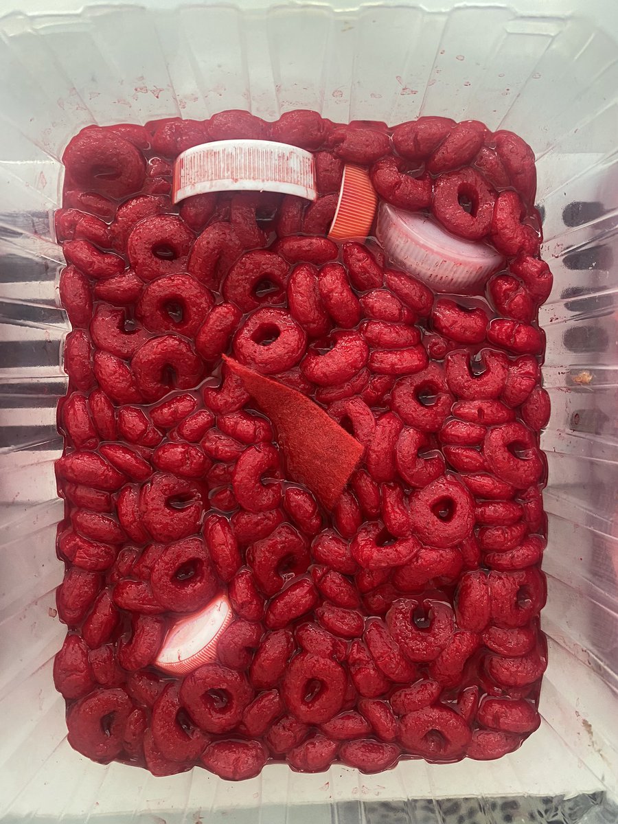 MsWardPBIS's tweet photo. We made models of blood to show the four main components: red blood cells, white blood cells, plasma and platelets 🩸 #science #model #biology https://t.co/SdfPWGm6zv
