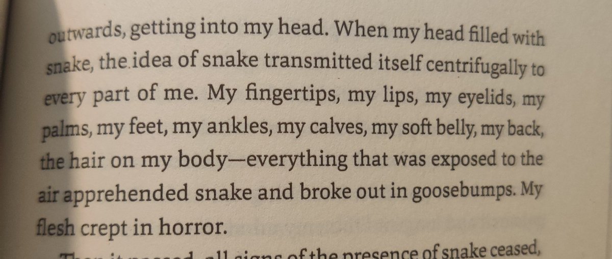 I feel like I'm reading a certain maid vtubers descent into the metal gear fandom