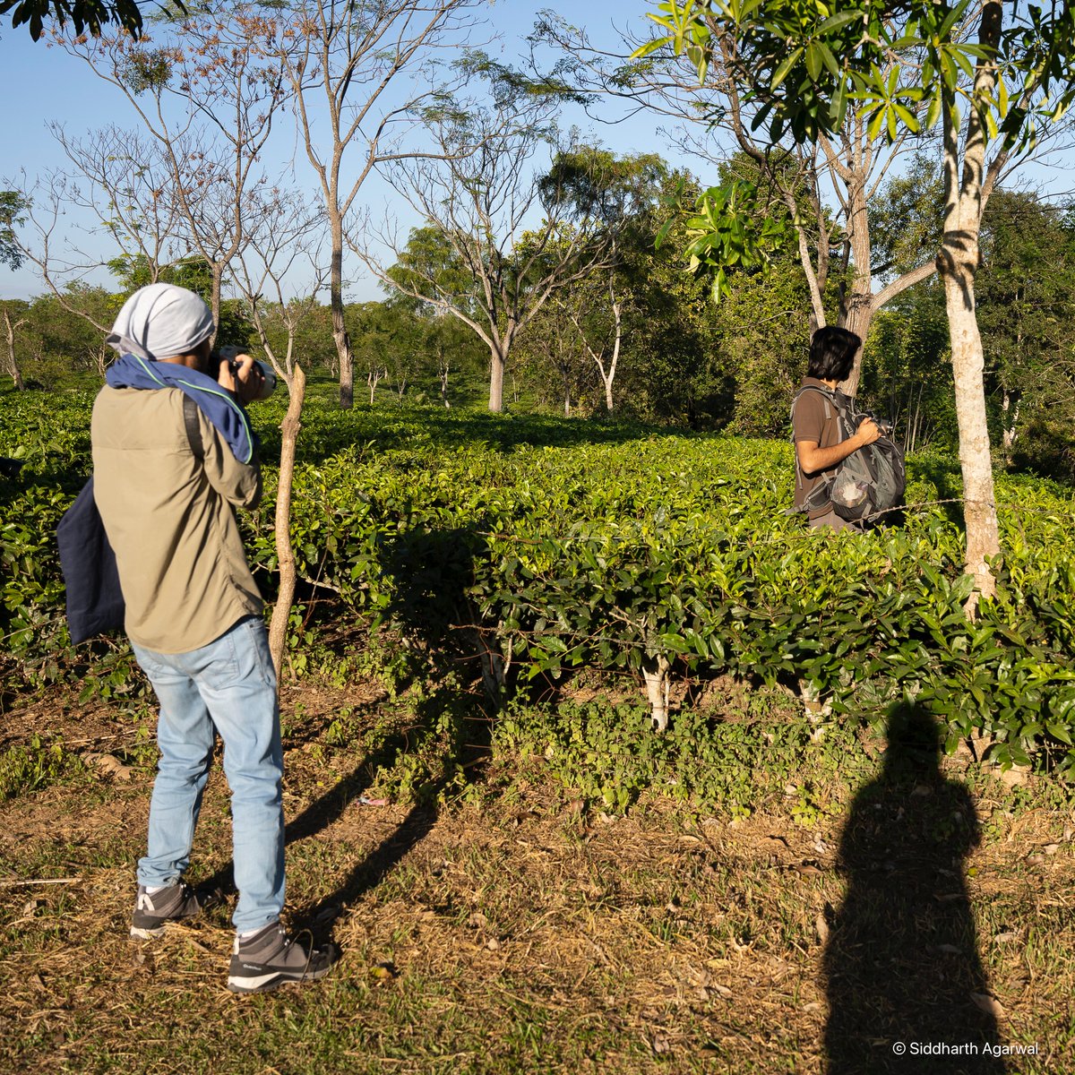 Siddharth Agarwal tweet media