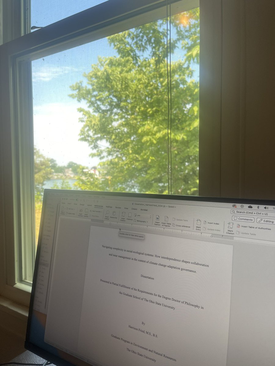 Harrison Fried tweet media