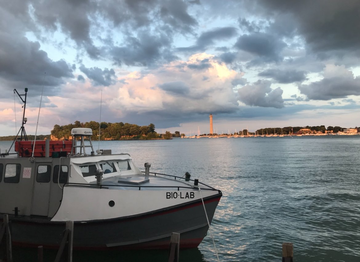 Harrison Fried tweet media