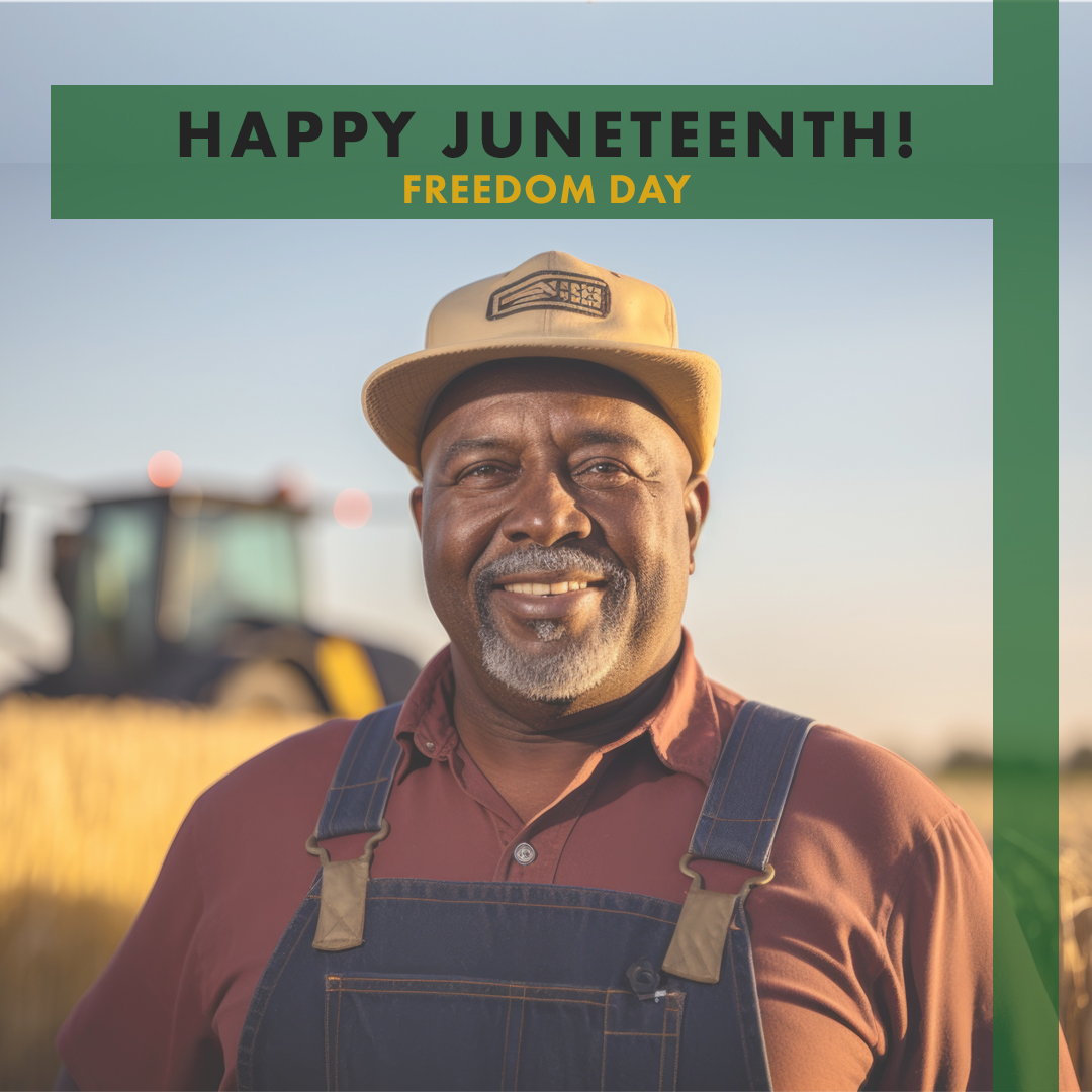 AR Rice Board tweet media