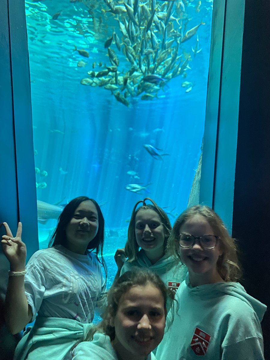 DcpsFrench's tweet photo. What a brilliant time at the aquarium 🐠
Nausicaa Marine Centre Part 1. 
#DeanCloseAdventure #DeanCloseTrips #DeanCloseFrench #DeanClosePrep https://t.co/787NY7wOnl