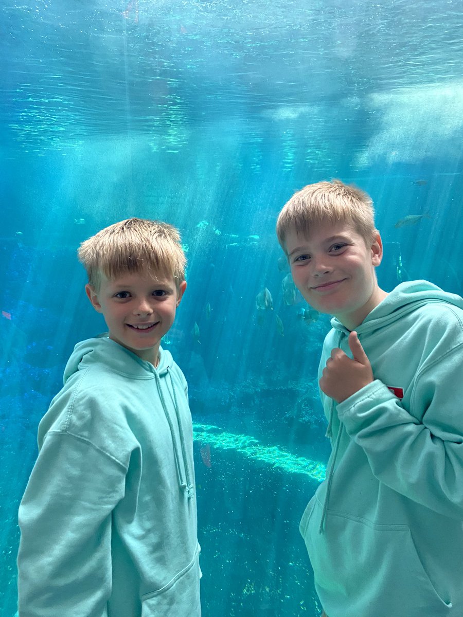 DcpsFrench's tweet photo. What a brilliant time at the aquarium 🐠
Nausicaa Marine Centre Part 1. 
#DeanCloseAdventure #DeanCloseTrips #DeanCloseFrench #DeanClosePrep https://t.co/787NY7wOnl