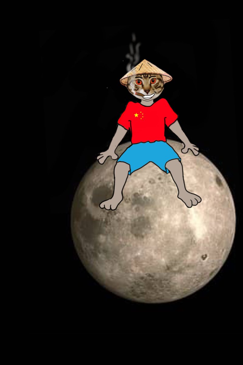 Licatcoin's tweet photo. $Licat destination? Up high on the moon πππππππΌ #licat #chinese #memecoin https://t.co/kQixy1AofV