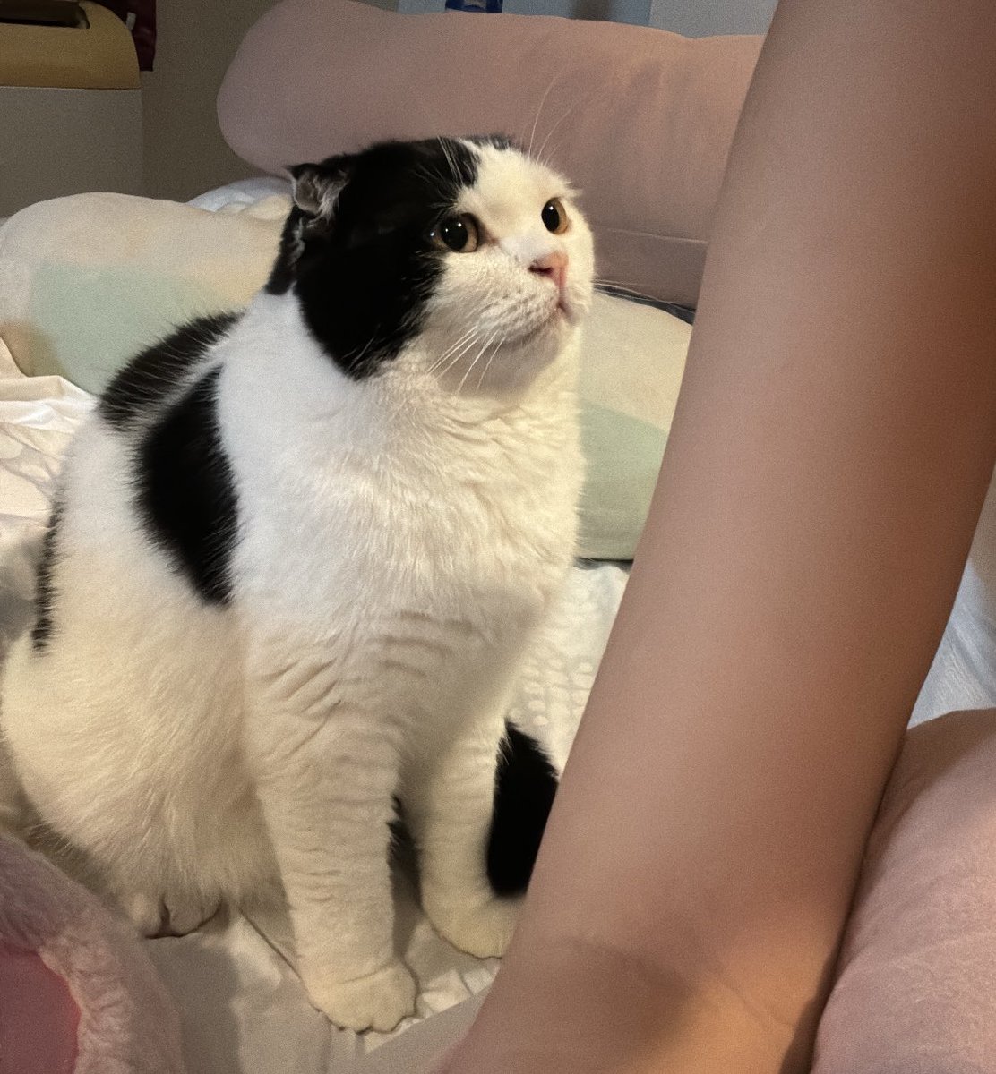 เอาไรพุดเรย อย่ากดดัน