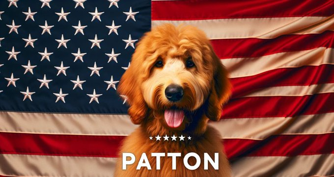 PattonCoinEth's tweet photo. $PATTON for everyone!!! https://t.co/eVVNjmoo2H