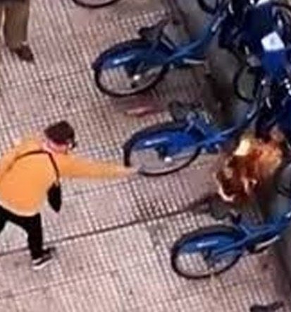 therealbuni's tweet image. Los kukardos están pidiendo que liberen a la mina que quemo 10 bicicletas porque..  es lesbiana???
Encima caranchean con el triple lesbicidoo y el asesino era kukardo