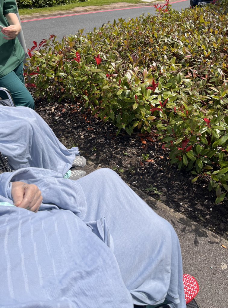 Renal HPB Therapy UHL tweet media