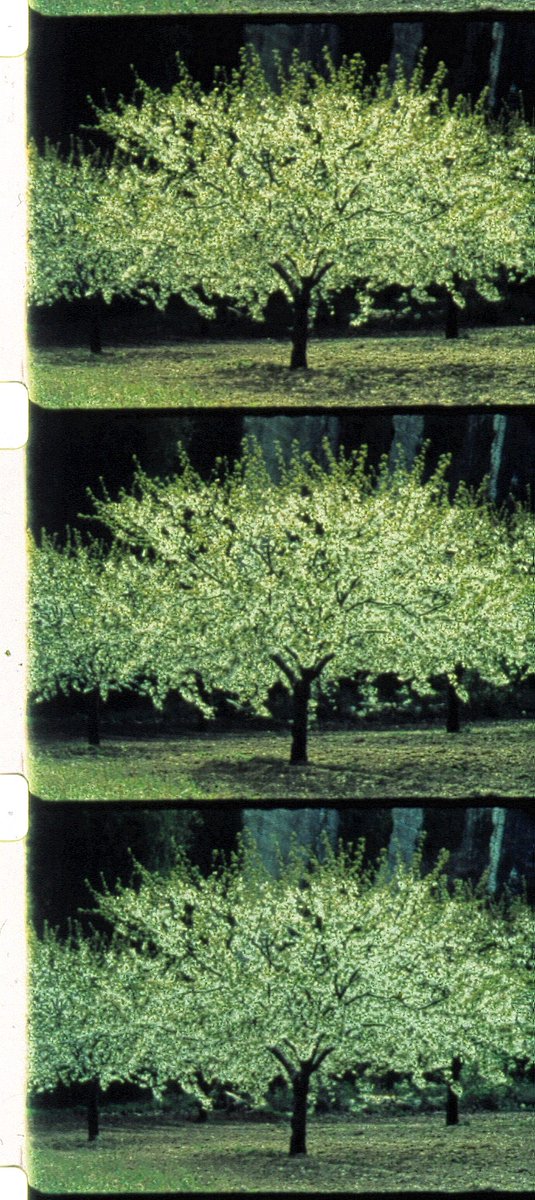 James Lattimer tweet media