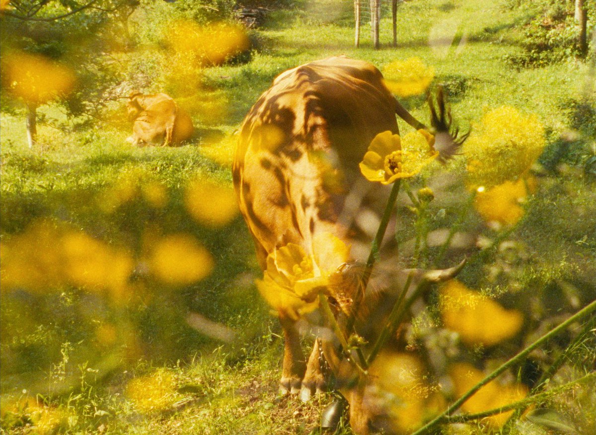 James Lattimer tweet media