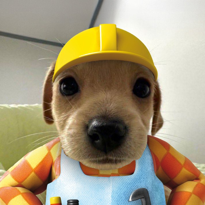 <a href="/moneymaykah_/">moneymaykah</a> don't you fade this hardworking dog $build 

HVybJ9WSgo1gPRkNnDQLWooud4BQqexRrSvcZs4ypump