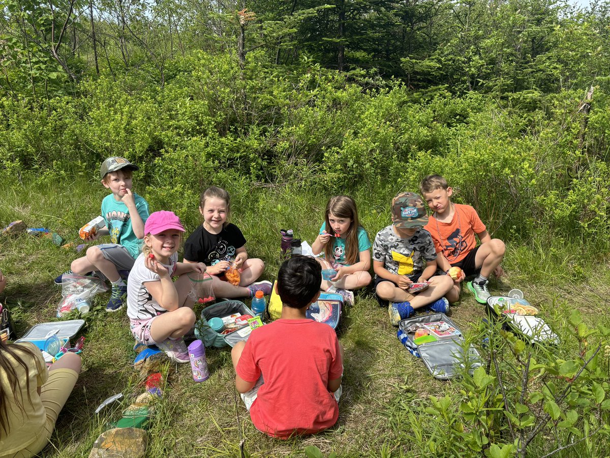 What a perfect day for a recess picnic 🧺 Thanks for sharing this beautiful location with us @ms_ellsworth! <a href="/AdmiralsAcad_NL/">Admiral’s Academy Navigators 🏳️‍🌈</a>