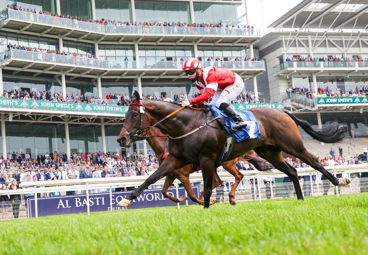 Weekender (@rpweekender) on Twitter photo 📒 "He's on a really attractive mark and could be seriously well handicapped."
Read Roger Fell & Sean Murray's insightful stable tour inside this week's <a href="/RPWeekender/">Weekender</a> and <a href="/rfoutlook/">RFO Official</a>!
<a href="/Nawton_Racing/">Roger Fell & Sean Murray Racing</a> 📒 "He's on a really attractive mark and could be seriously well handicapped."
Read Roger Fell & Sean Murray's insightful stable tour inside this week's <a href="/RPWeekender/">Weekender</a> and <a href="/rfoutlook/">RFO Official</a>!
<a href="/Nawton_Racing/">Roger Fell & Sean Murray Racing</a>