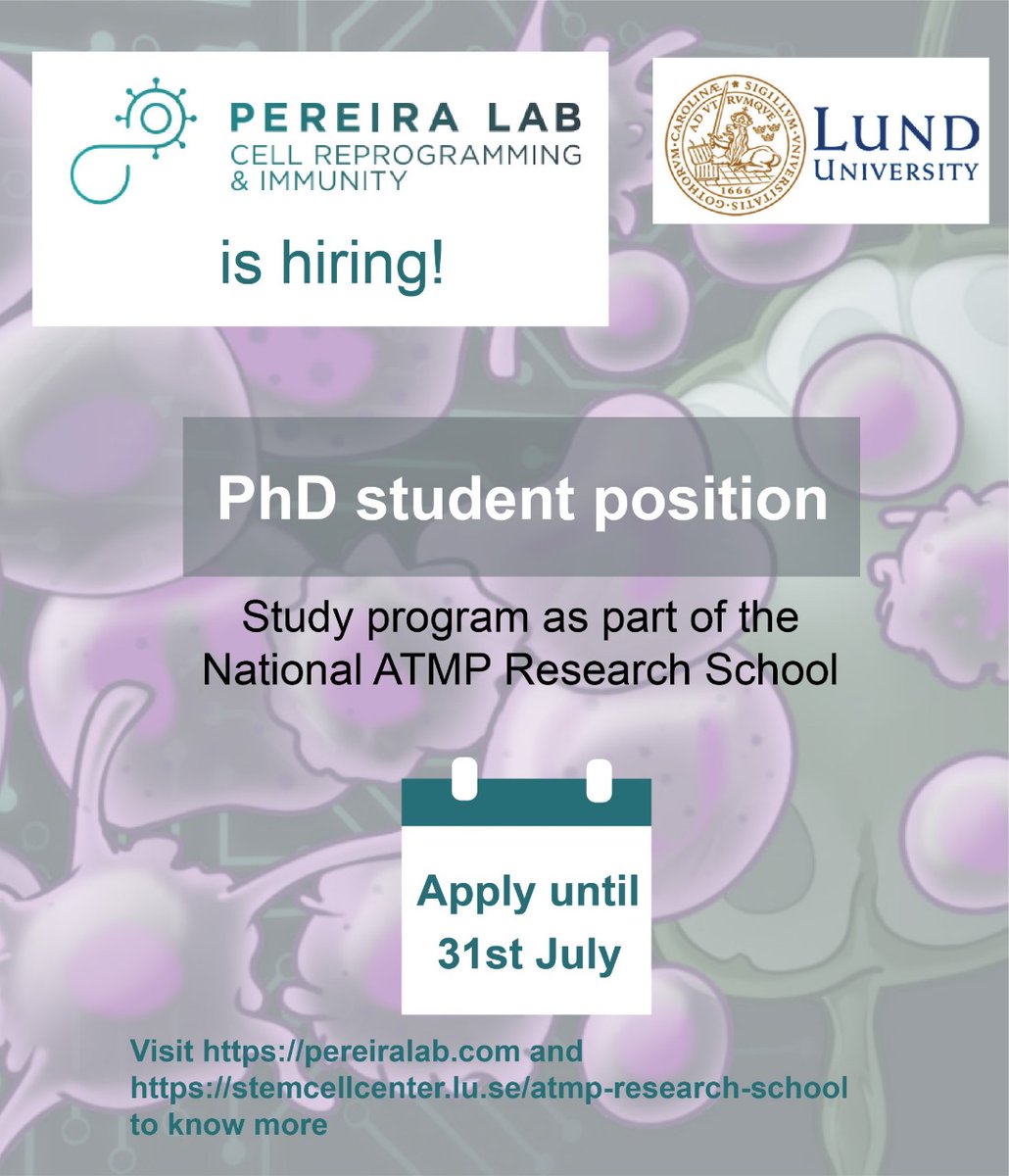 Pereira Lab (@cellreprolab) on Twitter photo 📢 Want to become an expert in next-gen cell & gene therapy? Join us <a href="/lunduniversity/">Lund University</a> to work on in-vivo dendritic cell reprogramming based #immunotherapy. We offer a 4y contract & integration in National #ATMP Research school. Apply/ask questions by 31/07: shorturl.at/WKUrR 📢 Want to become an expert in next-gen cell & gene therapy? Join us <a href="/lunduniversity/">Lund University</a> to work on in-vivo dendritic cell reprogramming based #immunotherapy. We offer a 4y contract & integration in National #ATMP Research school. Apply/ask questions by 31/07: shorturl.at/WKUrR