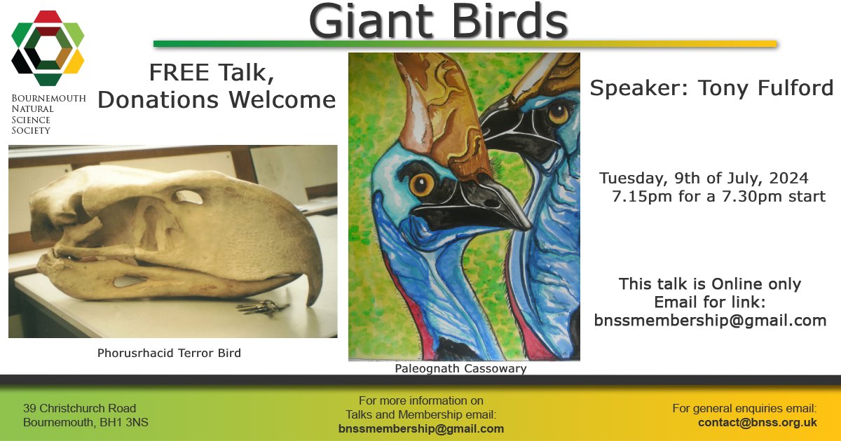 Bournemouth Natural Science Society & Museum (@bnss1) on Twitter photo 