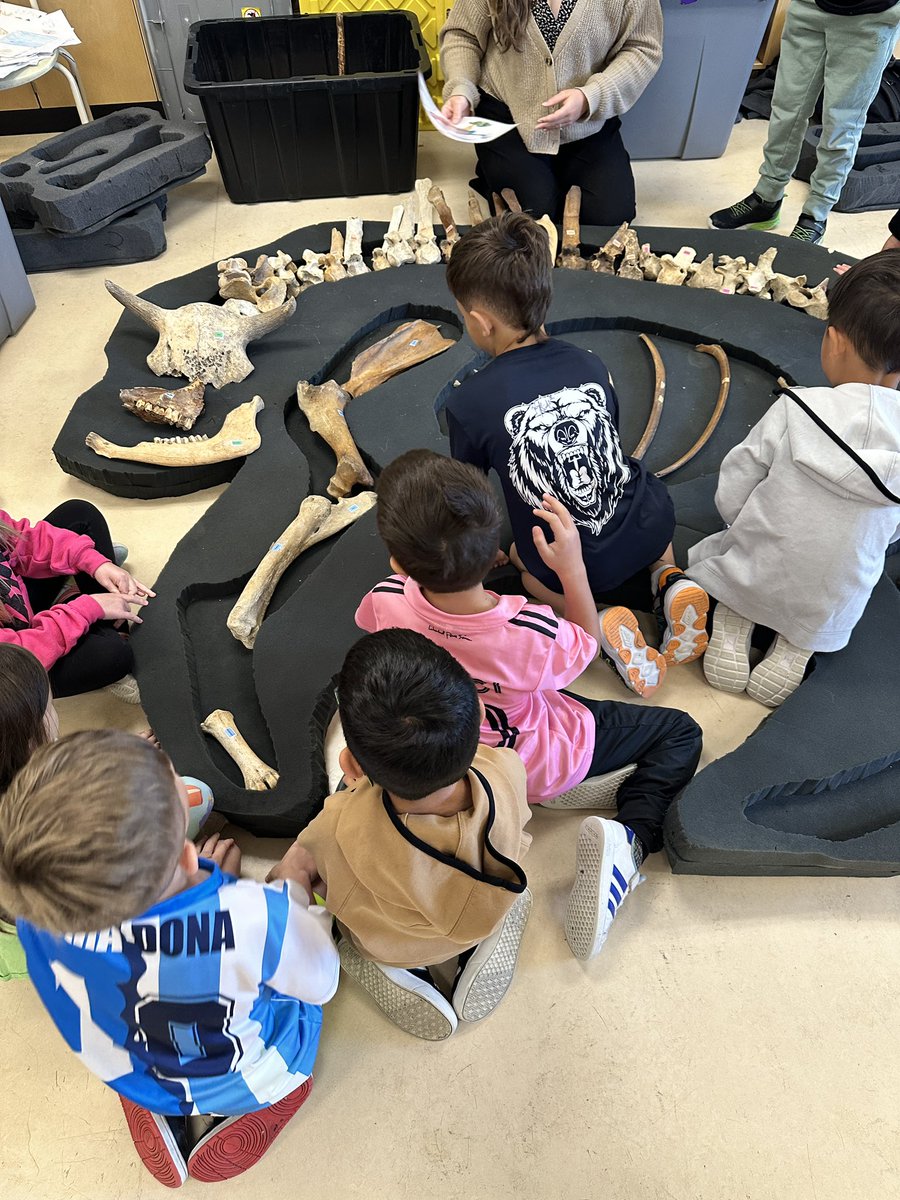 BPSHawks1 tweet media