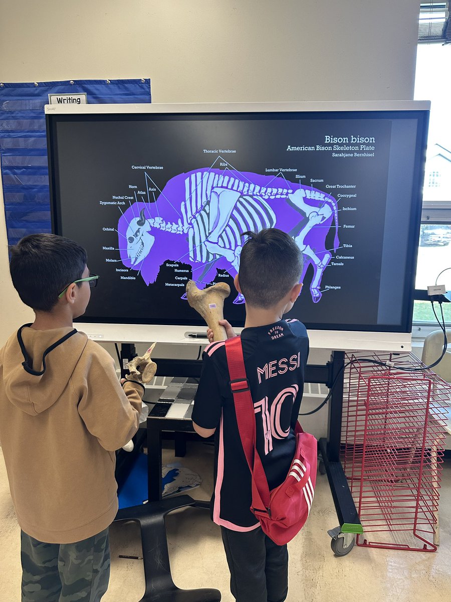 BPSHawks1 tweet media