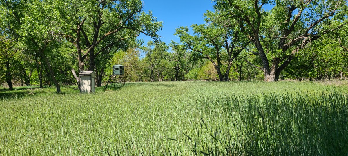LashleyLand's tweet photo. Hershey South Platte River Wildlife features prime hunting and outdoor recreation on 27± acres just South of Hershey, NE. Check it out here: https://t.co/vchctZMIw8 https://t.co/Dme1iB7Knu