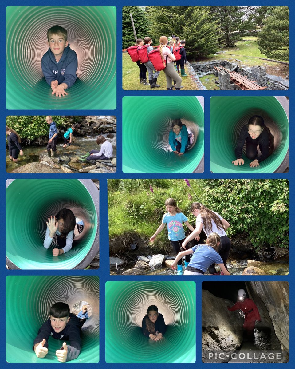 Ladymount Primary tweet media