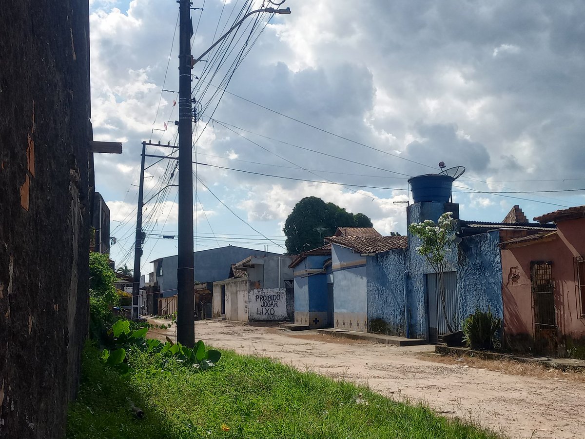 #vcnojl1 E quando a árvore está no quintal do vizinho que não assume sua responsabilidade de podar?Cupim, folhas e prejuízos na estrutura da casa da vizinha que possui o segundo andar,como proceder? Prejuízo financeiro, material e mental desse desgaste. Bairro da Cabanagem