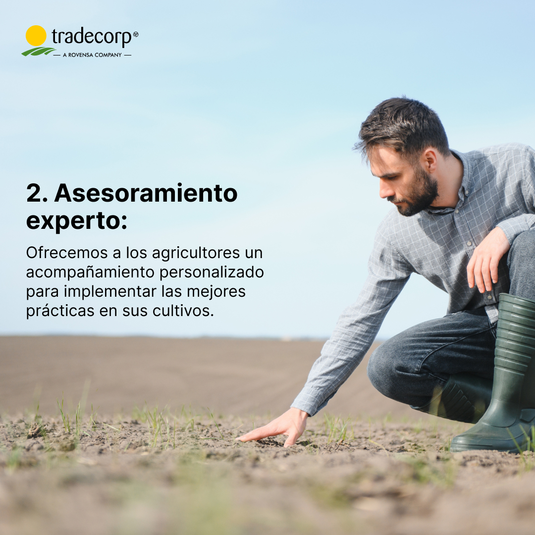 Tradecorp España tweet media