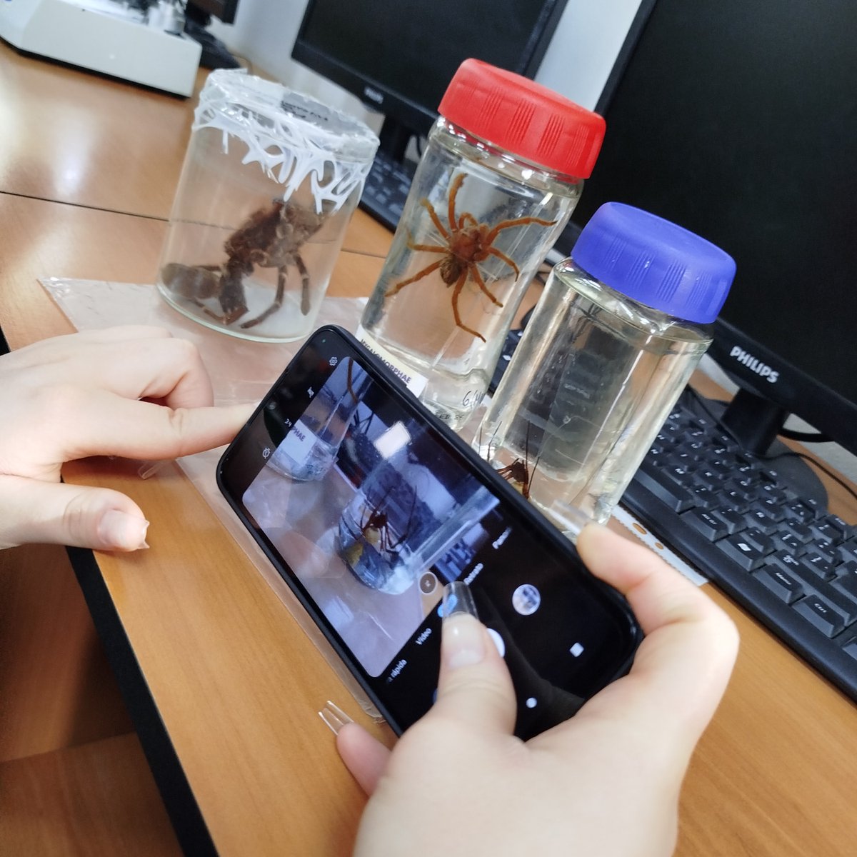 cepave_conicet's tweet image. Distintos grupos del CEPAVE visitaron la semana pasada el Colegio Emanuel, ubicado en Lisandro Olmos, donde llevaron sus propuestas para mostrar su material de estudio y abordar cada una de las problemáticas particulares, como el dengue o los piojos. ¡Gracias por recibirnos!