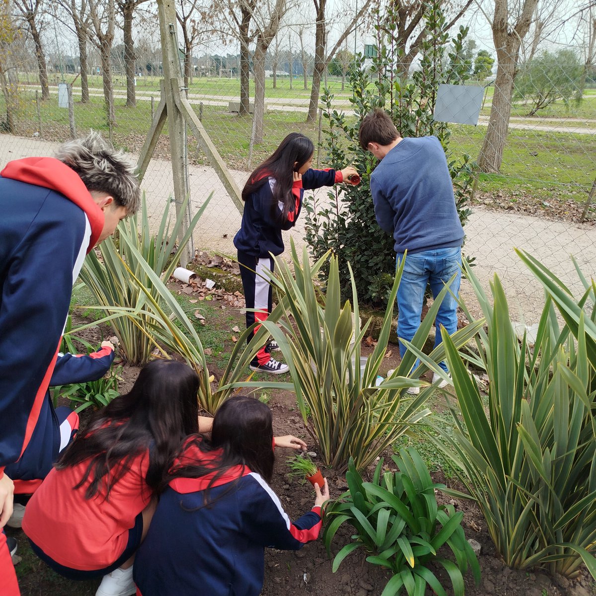 cepave_conicet's tweet image. Distintos grupos del CEPAVE visitaron la semana pasada el Colegio Emanuel, ubicado en Lisandro Olmos, donde llevaron sus propuestas para mostrar su material de estudio y abordar cada una de las problemáticas particulares, como el dengue o los piojos. ¡Gracias por recibirnos!