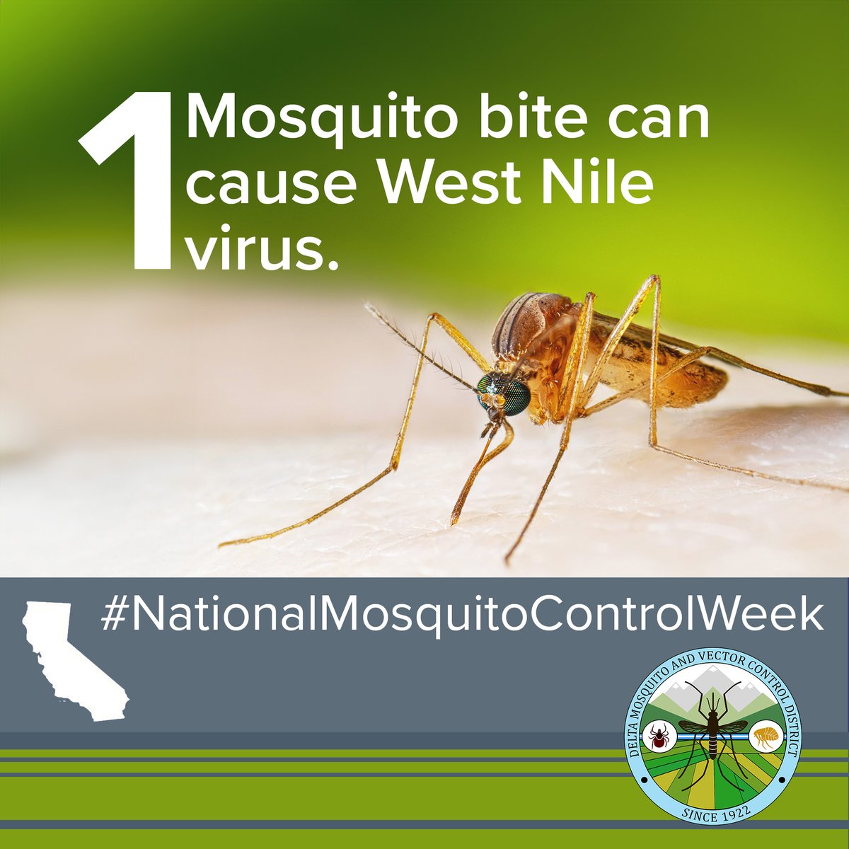 One mosquito bite can cause West Nile virus which can lead to meningitis and even death. Apply insect repellent after putting on sunscreen to keep you and your loved ones safe.
#FightTheBite #MosquitoWeek