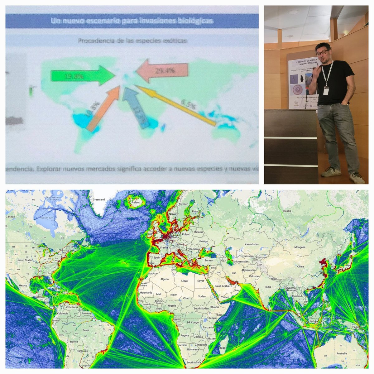 Fantástico <a href="/Hugo_Mas/">Hugo Mas</a> ¿Porque la globalización esta aumentando exponencialmente la dispersión de plagas?  Solo hay que ver la imagen de contendores en tráfico maritimo mundial. Patrones que dependen de Economía y Geopolitica <a href="/secforestales/">SECForestales</a> FOTO: genbeta.com