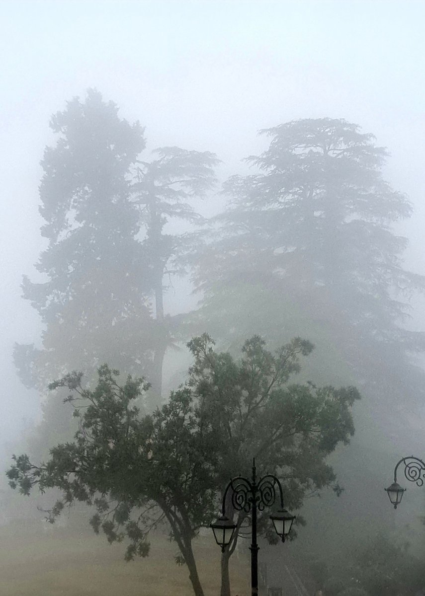 Kanwar Dinesh Singh (@k_dineshsingh) on Twitter photo Haiku
Amid Scalding June,
Shimla's first shower arrives,
A gift from above.
©Verse/Photograph:
Kanwar Dinesh Singh
#haiku #jshaikucorner #haikufeels
<a href="/BashoSociety/">Basho Society</a> <a href="/HaikuSeed_/">Haiku Seed Journal</a>
<a href="/HaikuCrush/">Haiku Crush</a> <a href="/WalesHaiku/">Wales Haiku Journal - SUBS OPEN</a>
@haikufound <a href="/KyoHaiProject/">Kyoto Haiku Project</a> Haiku
Amid Scalding June,
Shimla's first shower arrives,
A gift from above.
©Verse/Photograph:
Kanwar Dinesh Singh
#haiku #jshaikucorner #haikufeels
<a href="/BashoSociety/">Basho Society</a> <a href="/HaikuSeed_/">Haiku Seed Journal</a>
<a href="/HaikuCrush/">Haiku Crush</a> <a href="/WalesHaiku/">Wales Haiku Journal - SUBS OPEN</a>
@haikufound <a href="/KyoHaiProject/">Kyoto Haiku Project</a>