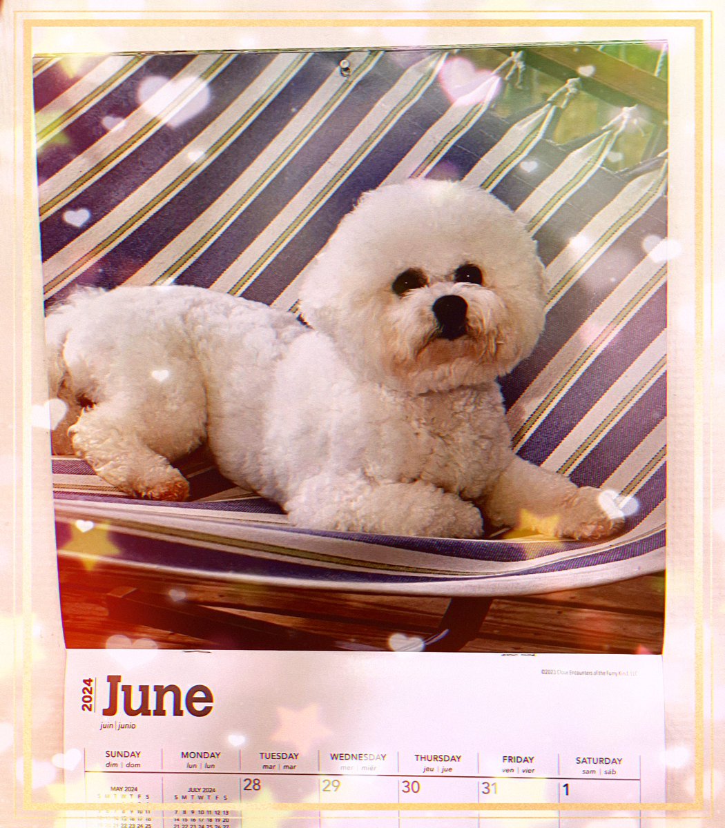 Annalula's tweet photo. “It is not so much that I acquired dogs as it is that dogs acquire me” - E. B. White #junequote #hellojune #dogsandus #annagram #banannagram 🐶🐾🌸💞😘 https://t.co/beUkXTkw4L