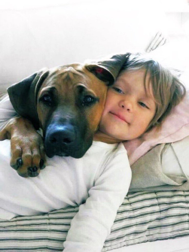 Sande (@sandeconnor) on Twitter photo 