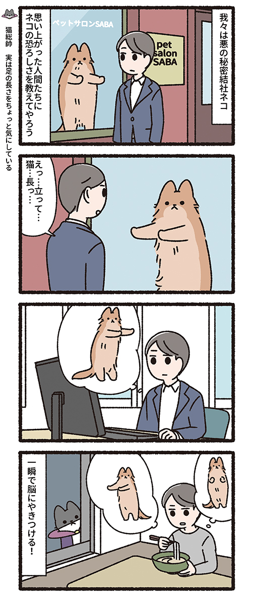 悪の秘密結社ネコ 猫による精神支配…編
#悪の秘密結社ネコ 