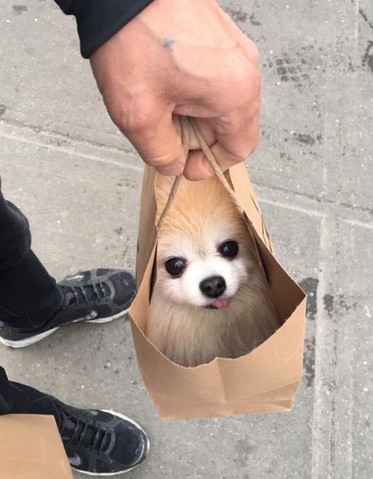 twaniimals's tweet photo. https://t.co/HlibeDqjlg