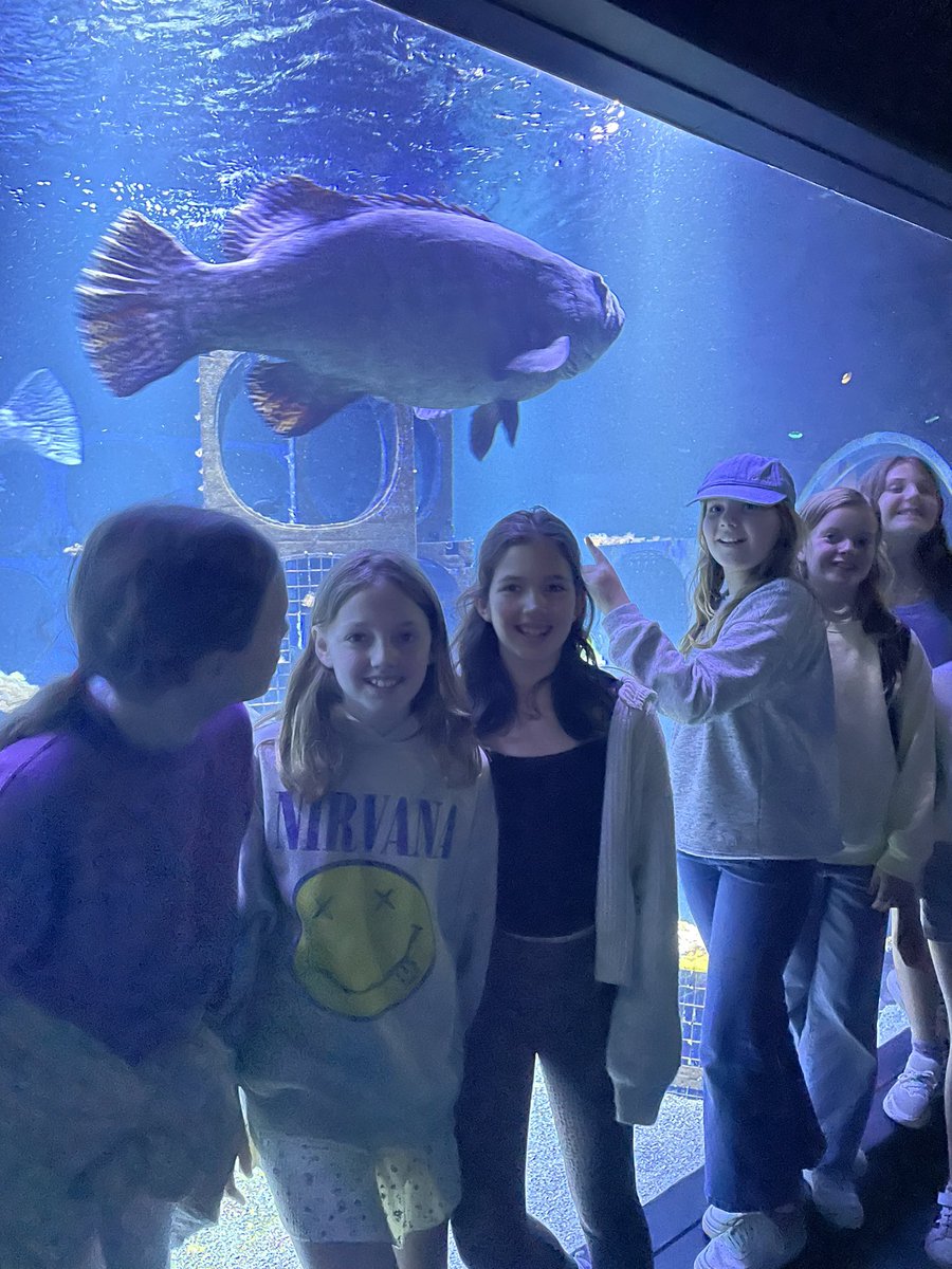 <a href="/Broomwoodtrips/">Broomwood</a> exploring the world under the sea at Europe’s largest aquarium. Watching the seals, sharks and manta rays.