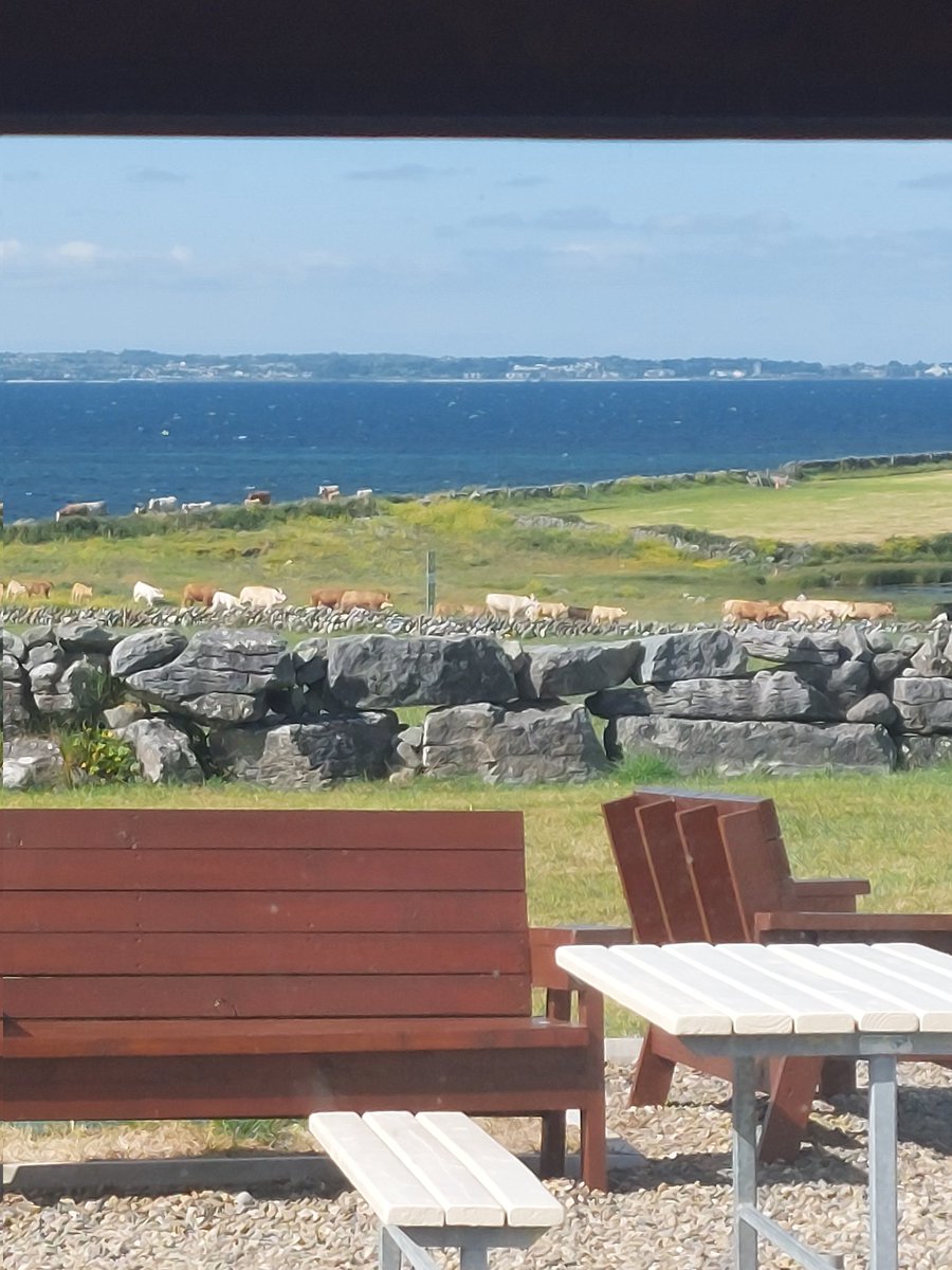 Farming the wild atlantic way <a href="/visitBurren/">Visit the Burren</a>