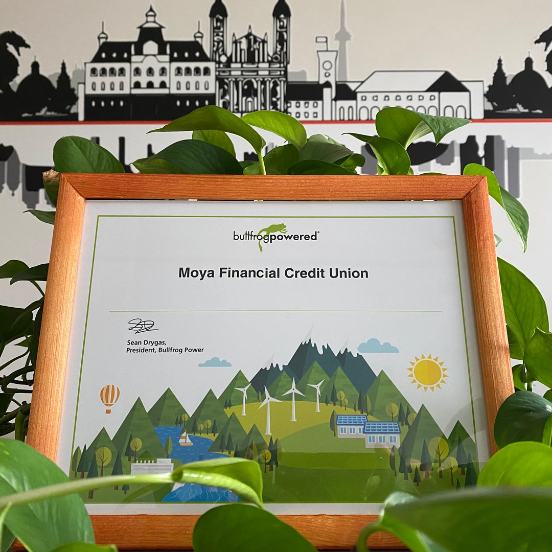 Moya Financial Credit Union tweet media