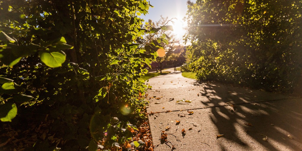 Today, #Juneteenth, we remember the more than 250,000 enslaved people in Texas who learned they were free on June 19, 1865 — two years after President Lincoln issued the Emancipation Proclamation, ordering their freedom, and two months after the Civil War ended. #JesuitEducated
