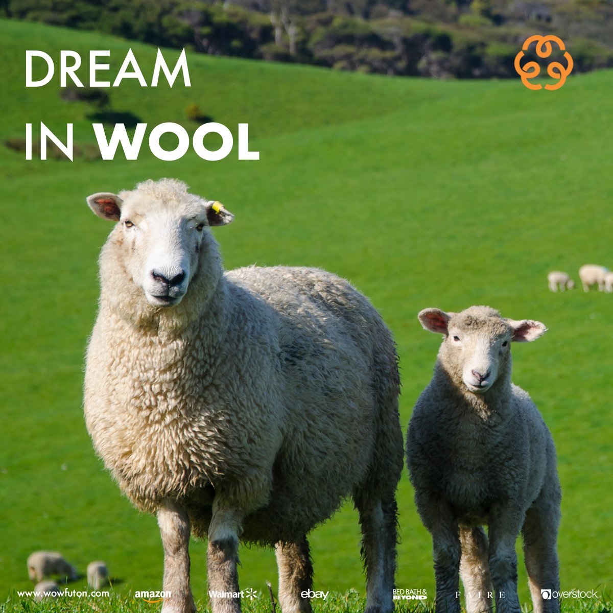 wowfuton's tweet photo. 💤Natural Wool Mattress Topper by WoW Futon. The cult favorite that started it all!

🧡 Find out at https://t.co/hrEwvpmuOt how wool bedding can help you realize your sweetest dreams.
#wowfuton
#organicsleep
#organicbedding
#Amazon
#walmart
#ebay
#overstock https://t.co/iINbKXIoOG