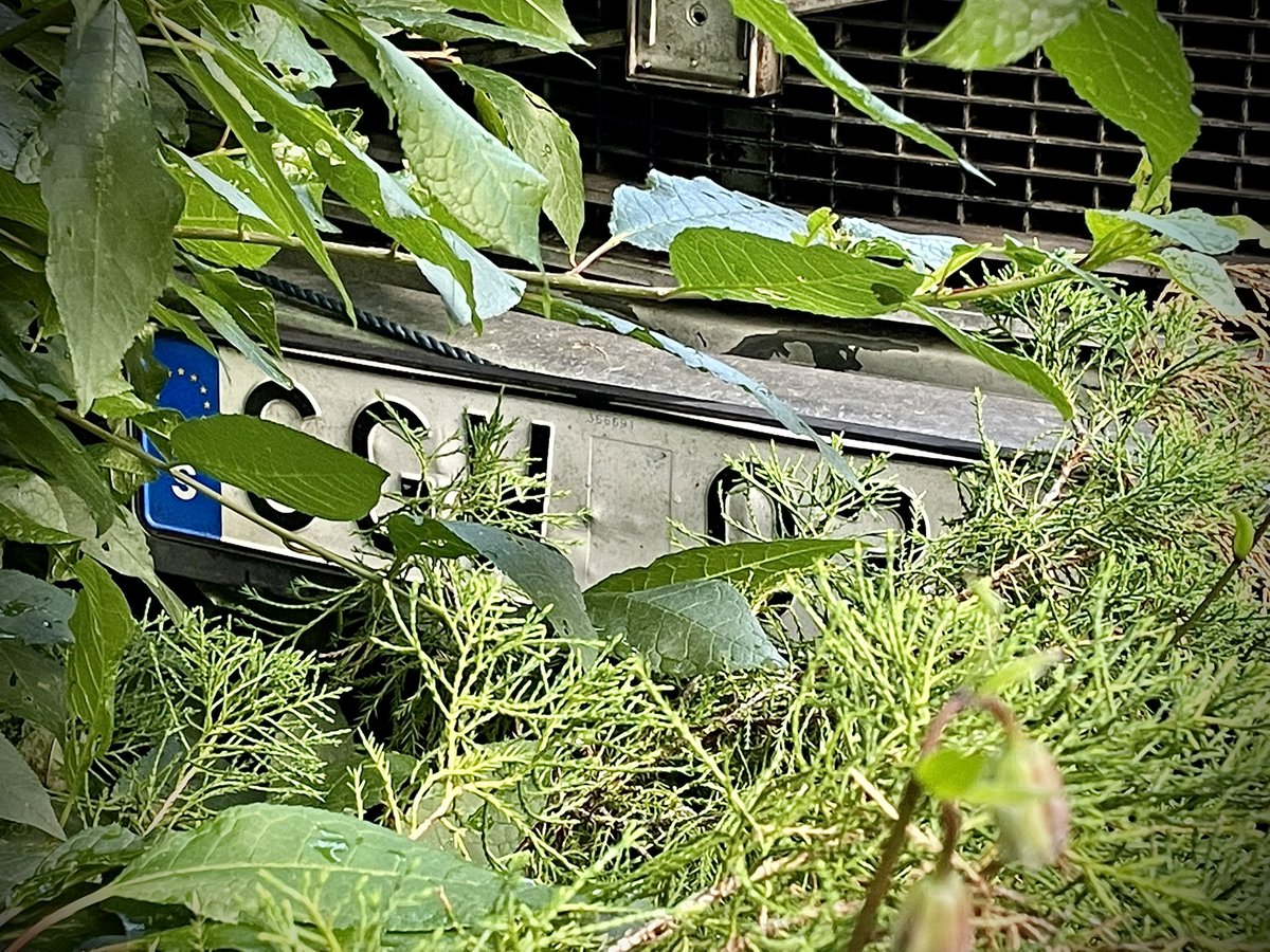 artlover_lh's tweet image. Min regskylt. 
#sommarpåminplanet #skylt