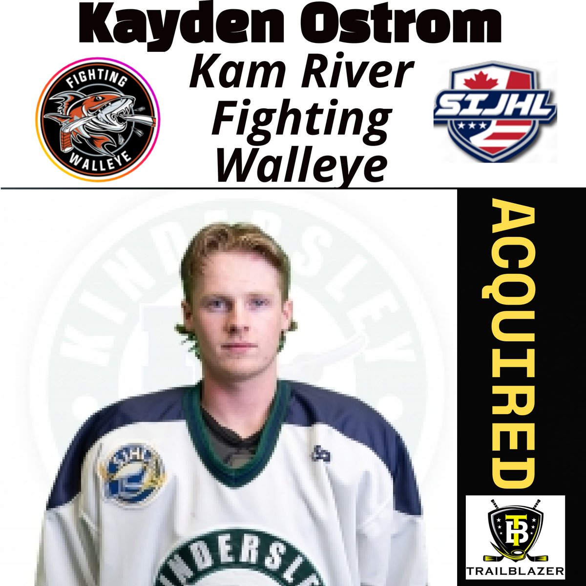 TrailBlazer Hockey Advisors tweet media