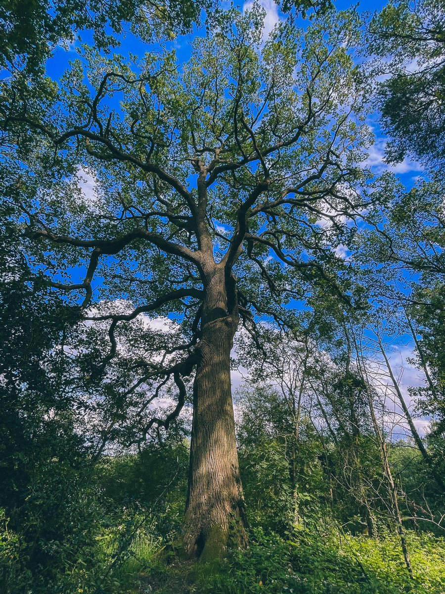 Sometimes you think that you want to disappear, but all you really want is to be found.