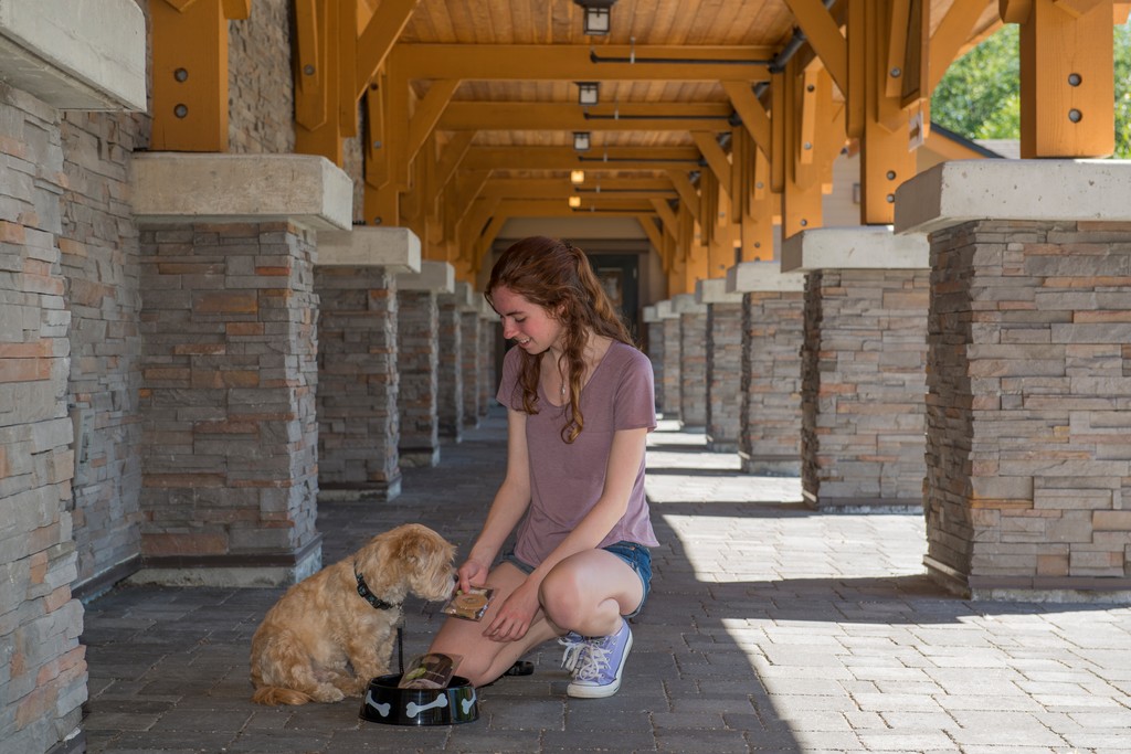 Looking to bring your pup along on your next vacation? Every one of our hotels is pet friendly and waiting to welcome you and your fur baby with open arms 🐶 book direct for the best rates!⁠

l8r.it/slC3